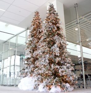 Holiday & Seasonal Decor - KEI - Wisconsin