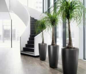 Interior Plantscaping - KEI - Oak Creek, WI