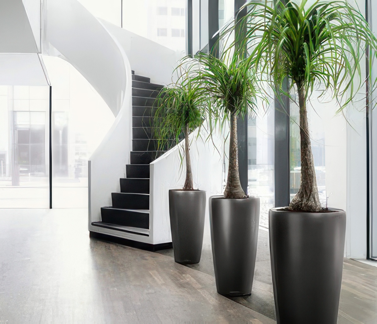 Landscape Design and Installation - KEI