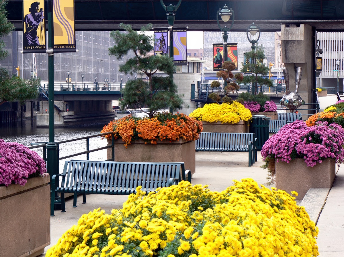 Landscape Design and Installation - KEI