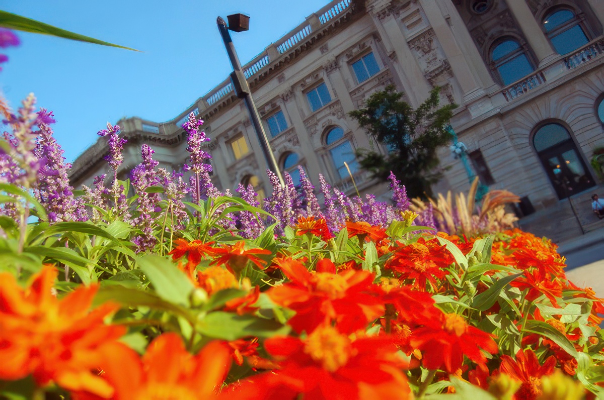 Streetscapes - Seasonal Color - KEI