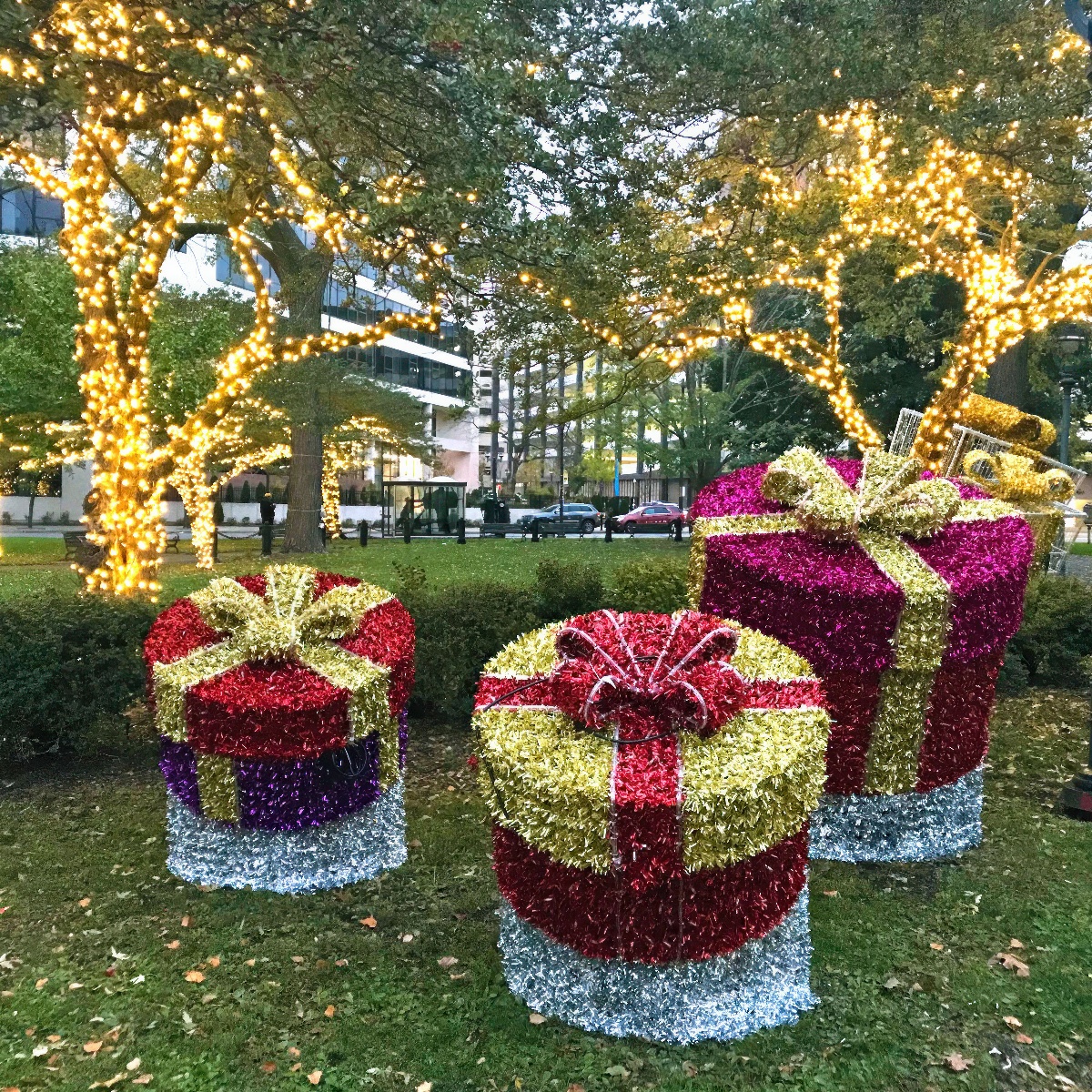 Streetscapes - Seasonal Color - KEI