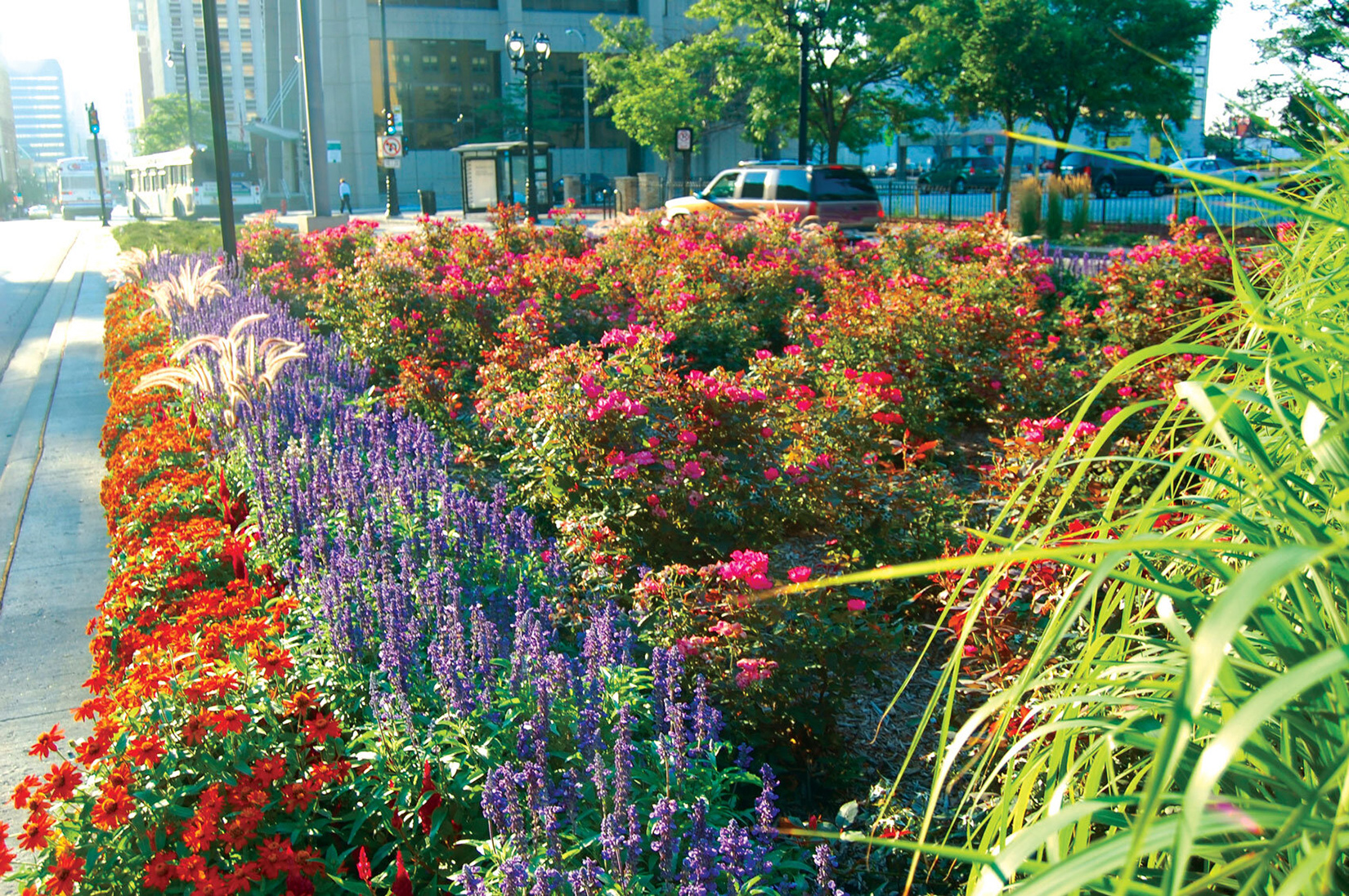 Streetscapes and Seasonal Color - KEI