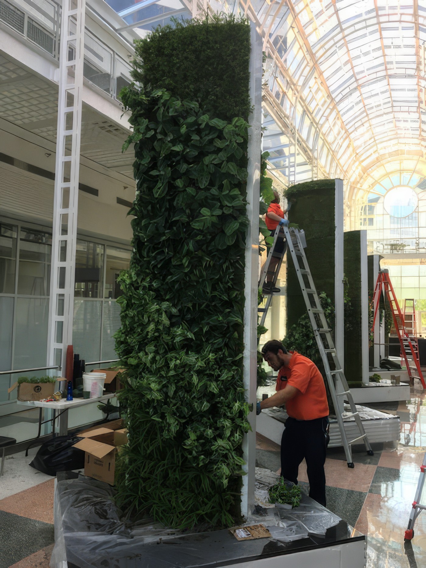 Interior Plantscaping Project - KEI