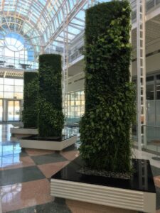 Interior Plantscaping Project - KEI
