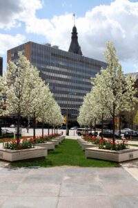 Landscape Design & Installation Projects - KEI
