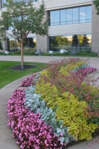 Landscape Design & Installation Projects - KEI