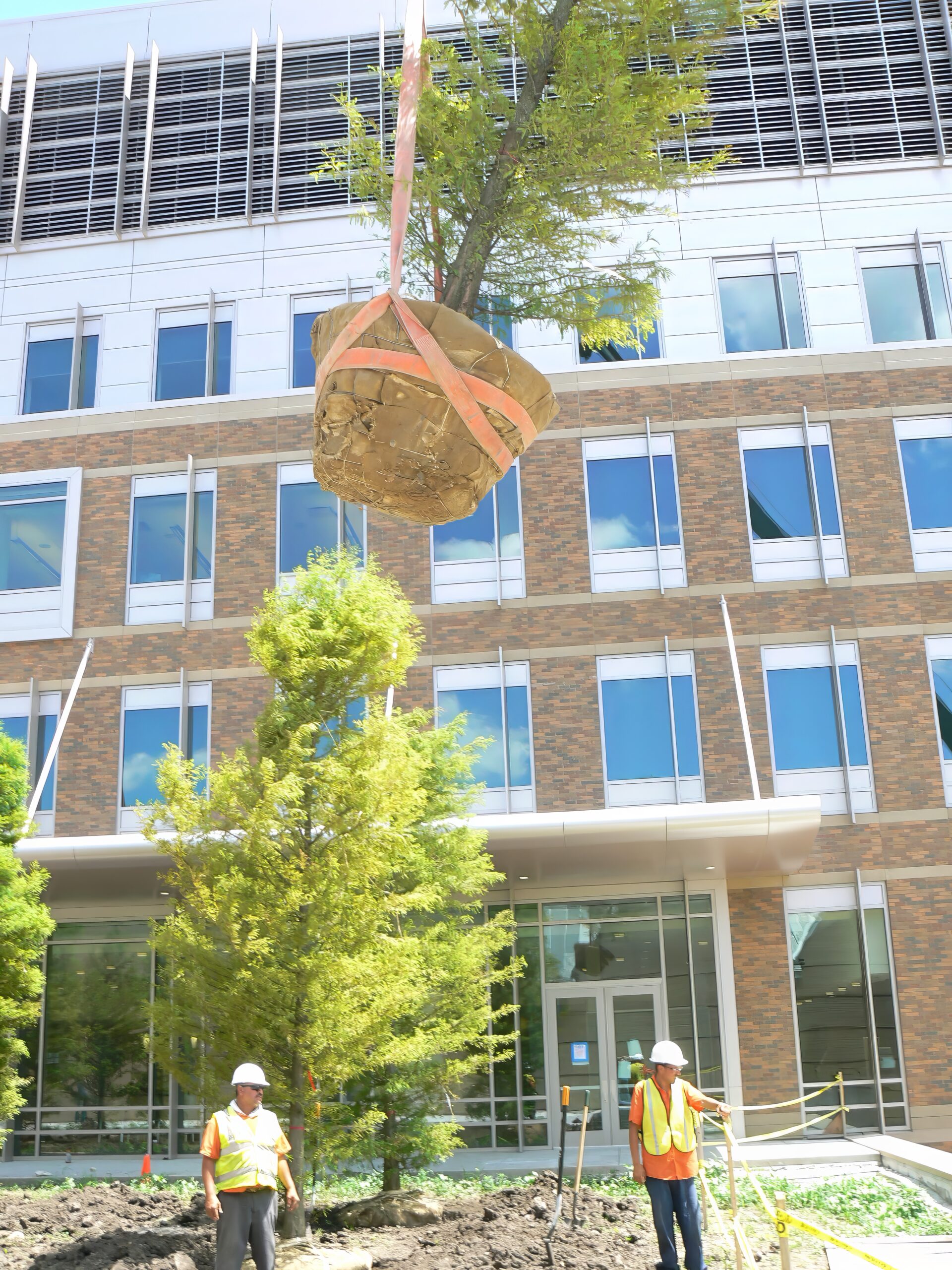 Landscape Design & Installation Projects - KEI