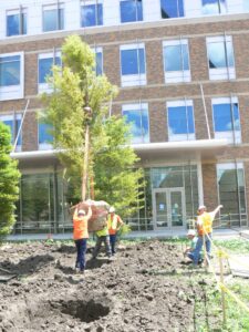 Landscape Design & Installation Projects - KEI