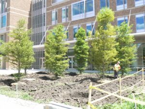 Landscape Design & Installation Projects - KEI