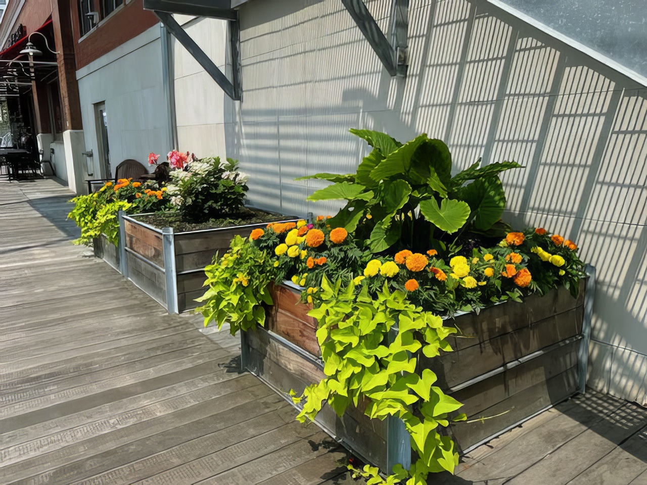 Urban Streetscapes - KEI