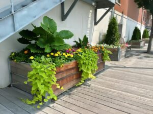 RiverWalk - Milwaukee - Streetscapes - KEI