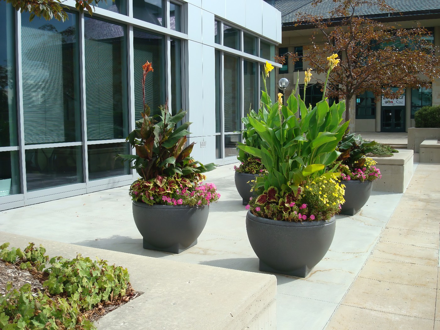 Urban Streetscapes - KEI