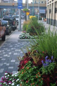 Urban Streetscapes - KEI