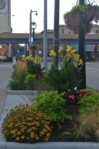 Urban Streetscapes - KEI