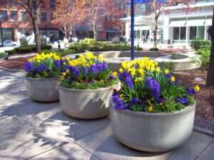 Urban Streetscapes - KEI