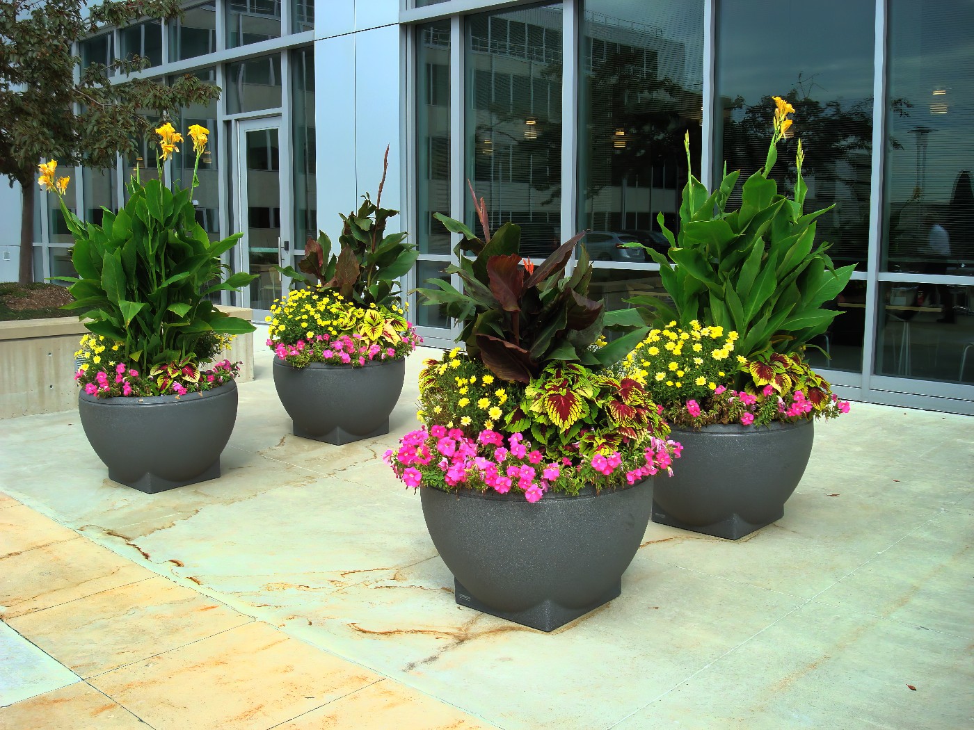 Urban Streetscapes - KEI