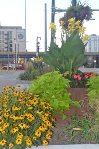 Urban Streetscapes - KEI