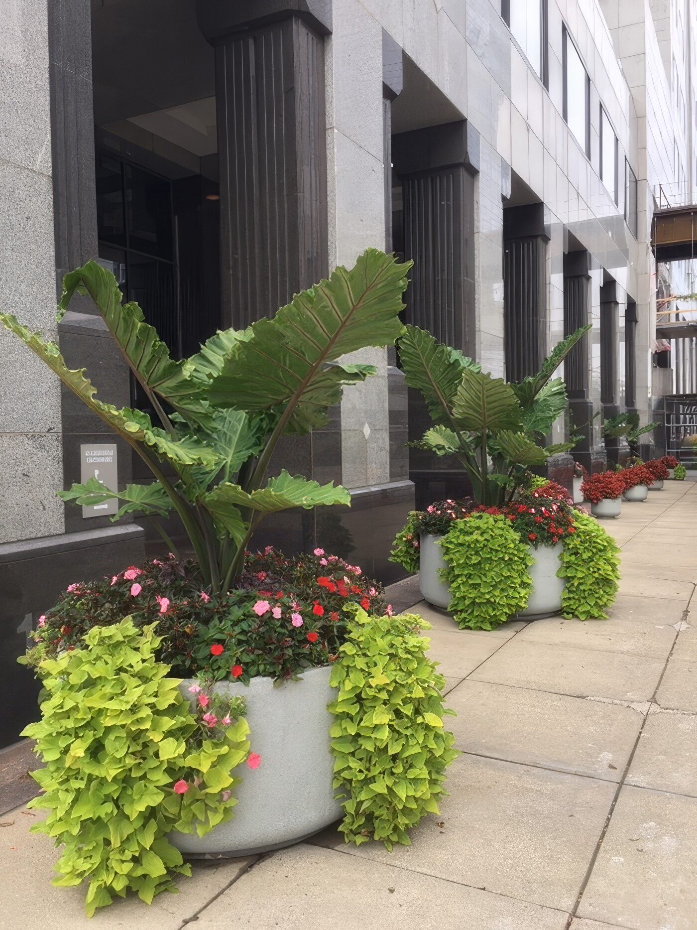 Urban Streetscapes - KEI