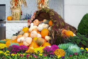 Holiday and Season Decor - KEI