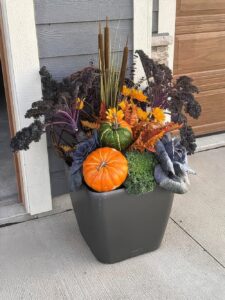 Holiday and Season Decor - KEI