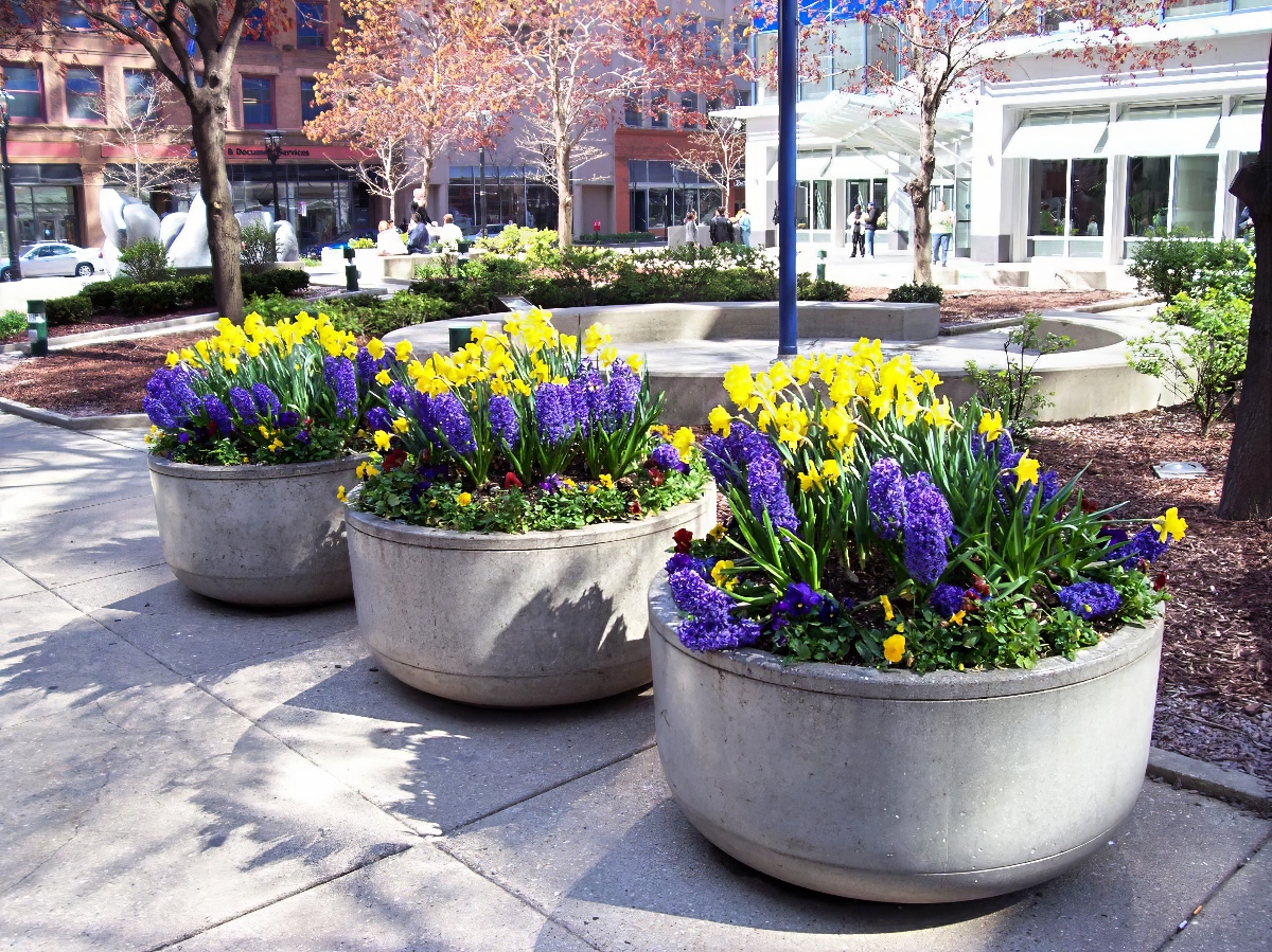 Landscape Design and Installation - KEI