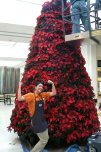 Holiday and Season Decor - KEI