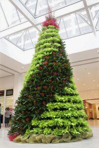 Holiday and Season Decor - KEI